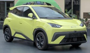 BYD Dolphin Surf